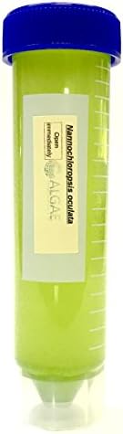 Algae Research Supply Algae Culture Nannochloropsis Occulata, Perfect for School Science Fairs/Projects, Experiments & Classrooms (50mL)