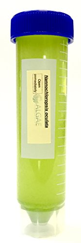 Algae Research Supply Algae Culture Nannochloropsis Occulata, Perfect for School Science Fairs/Projects, Experiments & Classrooms (50mL)