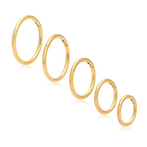 HeraBPJW 5 Pcs Hoop Nose Ring,G23 Titanium 18G Septum Ring Body Piercing Jewelry,6mm/7mm/8mm/9mm/10mm-Gold