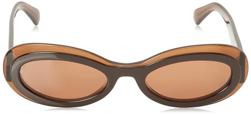 Sunglasses SF 2003 S 233 Transparent Brown/Brown2