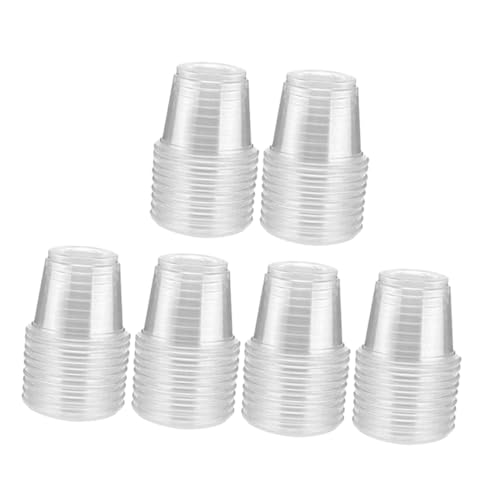 LAPYAPPE 200 ĝăNAvX`bNVbgOX p^Jbv o[xL[p[eB[  Xg ItBXpy