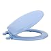 Achim Home Furnishings TOWDSTBL04 17-Inch Fantasia Standard Toilet Seat, Wood Light Blue