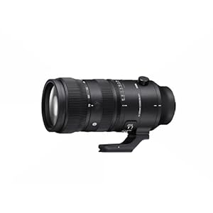 70-200mm F2.8 DG DN OS for Sony