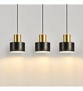 ASGYISA Modern Mini Pendant Light Fixture Small Black and Gold Matte Industrial Adjustable Chande...