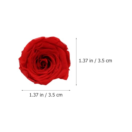 Rosas preservadas rojas HINTRMENT de 3-4 cm para decoración DIY 3