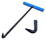 NXSLONE