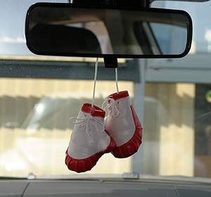 Image of PROSPO Boxing Glove Key Ring & Hanging Accessories