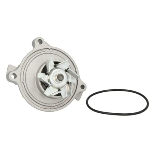 Hepu P616 Wasserpumpe