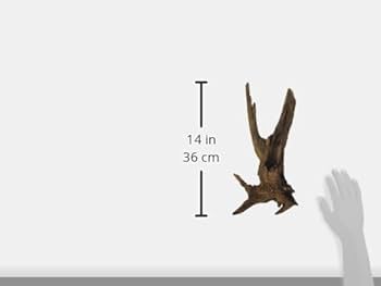 Amtra HOLZ MYSTIC WOOD - Olibetta