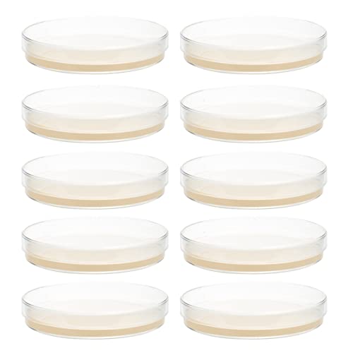 ULTECHNOVO Lot de 10 boîtes de pétri, agar de croissance moyenne, idéales pour les champignons et les projets de foires scientifiques (9 cm) Cover