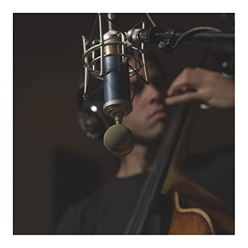 Image of Blue Bluebird SL XLR Cardioid Condenser Microphone for Pro Recording, Streaming, Podcasting, Gaming, Mic with Large Diaphragm, Shockmount, Modern Crystal-Clear Sound, Protective Case - Blue
