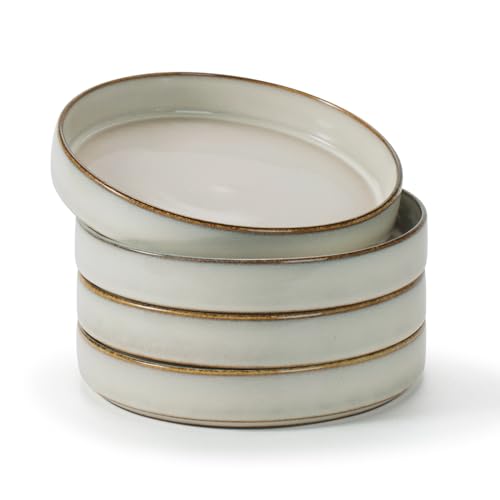 famiware Annecy Pasta Bowls Set of 4, 24 oz Salad Bowl Plates, Stoneware Dinnerware/Dishware/Plateware Set for Serving, Dining, Noodles, Remen - Microwave & Dishwasher Safe, Reactive Glaze, Grey-White