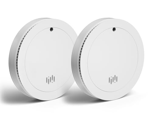 Ruan Détecteur de fumée Ultra-Fin pour la Maison, Alarme Incendie avec Pile Longue durée (10 Ans), Installation Facile, Bouton de Silence, Conforme à la...