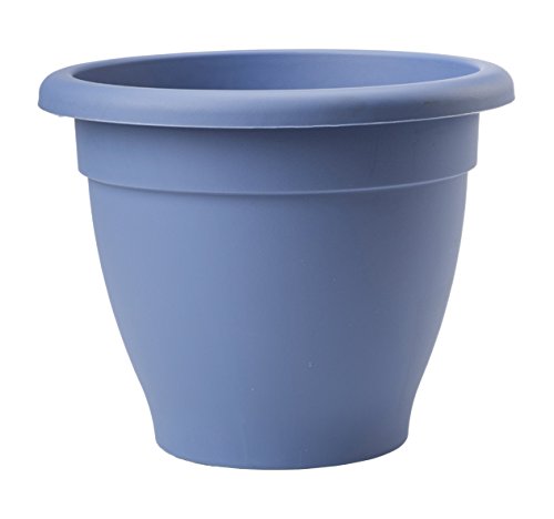 Stewart 2001072 27 cm Essentials Planter - Cornflower Blue
