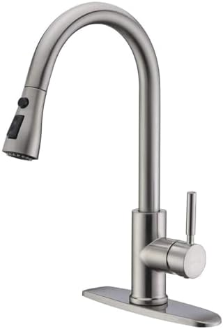 WEWE Single Handle High Arc Kitchen Faucet