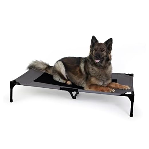 K&H PET PRODUCTS Elevated Cooling Outdoor Dog Bed Portable Raised Dog Cot Charcoal/Black X-Large 32 X 50 X 9 Inches