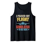 I Paused My Flight Simulator To Be Here