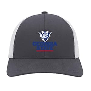 Georgia State Panthers Prime Low Profile Adjustable Hat