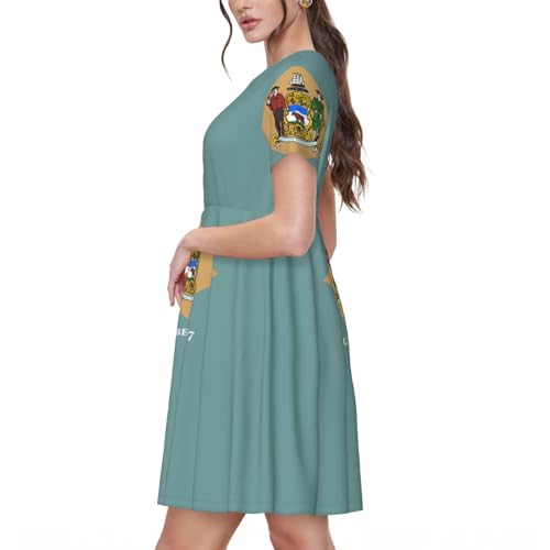 Robe d'été drapeau du Delaware légère contre la chaleur estivale - 2