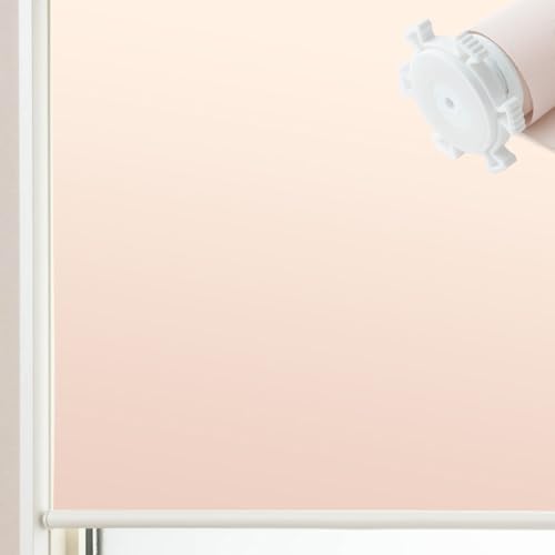 TOMOYASU ���ς莮 �h�� �Ռ� ���[���X�N���[�� ROLY PROP ����22cm ����100cm ���X�m�[�s���N ���`�F�[����:�E RSN ���[���J�[�e�� �T�C�Y�I�[�_�[