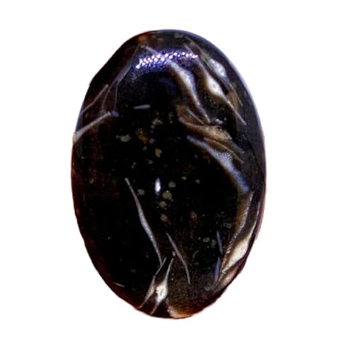 Cabochon fossile naturel ovale 32x21x5mm pierre précieuse pour bague et pendentif diy