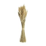 Mud Pie Preserved Wheat Bundle
