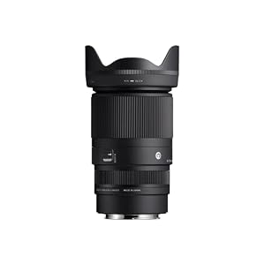 Sigma 16-300mm F3.5-6.7 DC OS Contemporary Lens (Canon RF Mount) — photo 5 of 6