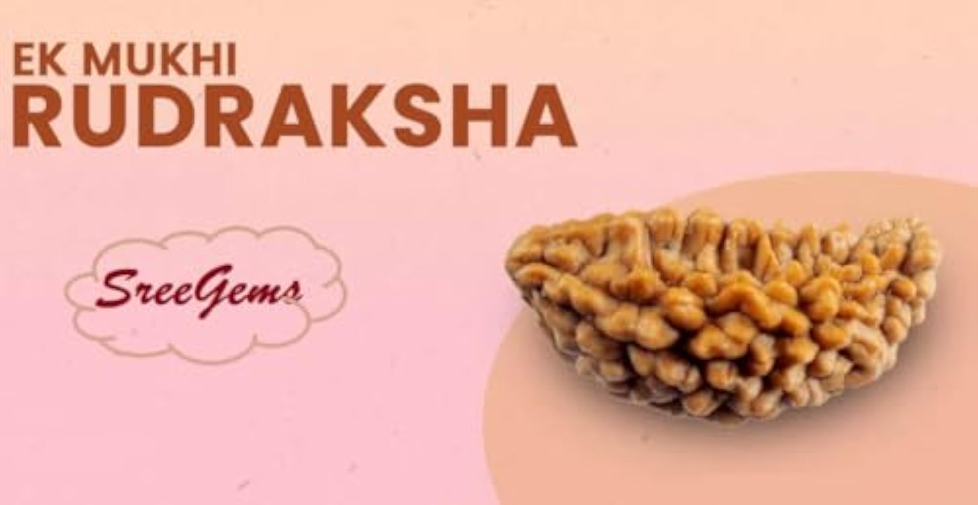1 Mukhi Rudraksha Pendant with Silver Capping, Blessed by Mahadev