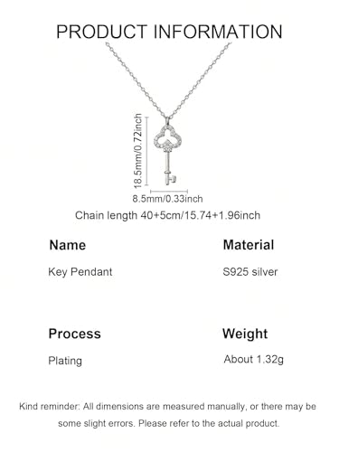 S925 Sterling Silver Plated 14K Necklace Antique Feeling Small Diamond Key Pendant Light Luxury Vintage Pendant3