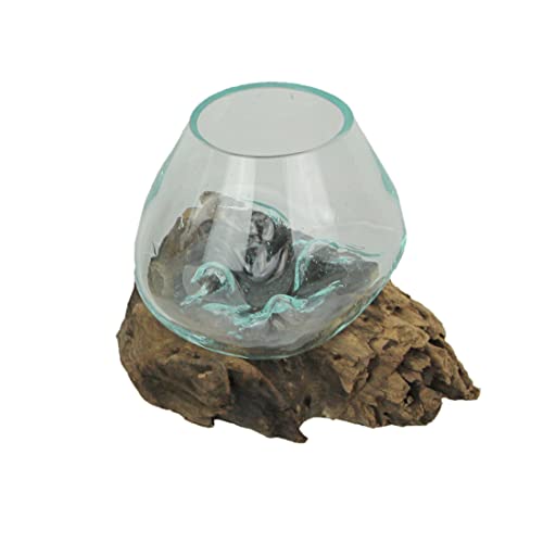 Chesapeake Bay Small Glass Bowl On Driftwood, Brown, 5.75 Inch
