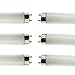 Replacement for Radiant F32T8/TRITEN 35, 3500K Color Temperature, Fluorescent Tube Light Bulbs (6 Pack)