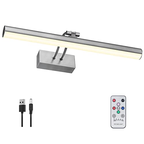 RAIFOOLLY Luz de imagem, luzes de arte de bateria sem fio para pinturas, luz de destaque de exibição
