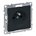 Produktbild LEGRAND, SEANO Steckdose französischer/ belgischer Standard, Steckklemmen, mit erhöhtem Berührungsschutz, Farbe: Anthrazit lackiert, 765480
