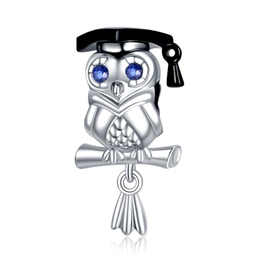 YUMINN Gufo saggio per la laurea Charm for 925 Sterling Silver for Bracciali e collane da donna Ciondolo pendente per Natale San Valentino Festa della mamma Regali di gioielli per ragazze