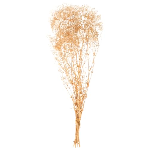 Ramo de flores secas Babysbreath blanco 120g miniatura 1