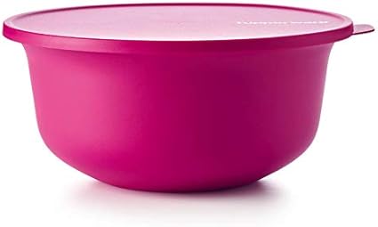 insalatiera da viaggio