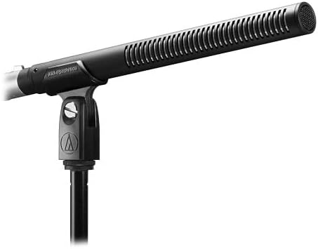BP4029 Stereo Shotgun Microphone, 3"