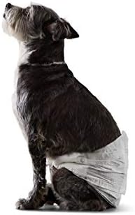 Amazon Basics Male Dog Wrap, Disposable Nappies  M, Pack of 30