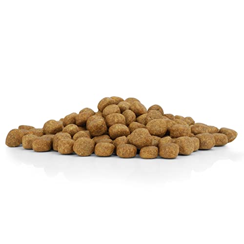 ReaVET Natur Hundefutter Trockenfutter Sensitive Menü 10kg – 100% Natürlich Trockenfutter Hund, Getreidefrei für Allergiker, Hunde Trockenfutter, Natur ohne Chemie und künstliche Vitamine