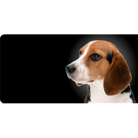 beagle license plate