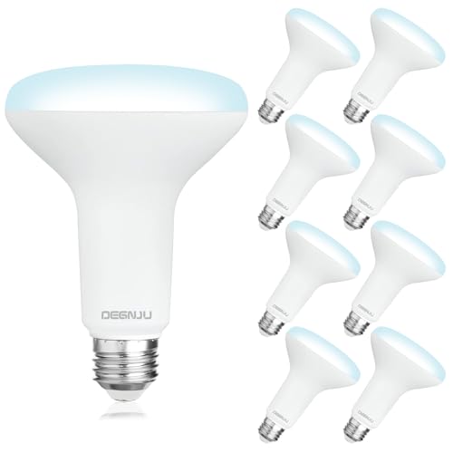 DEGNJU 8 Pack BR30 LED Bulbs 7W 5000K Daylight