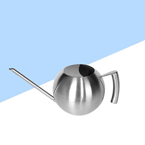 HEMOTON Regador de bico longo de aço inoxidável para plantas, água e regador, balde de metal para ja