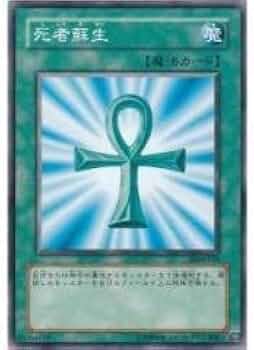 31PAMLrbycL._AC_UF350,