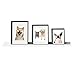 WELLAND Vista Picture Ledge Floating Ledge Wall Shelves, 36-inch, White