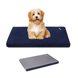 KROSER Coussin pour Chien,Tapis pour Chien 46x61x5.8cm, Coussin Chien Dehoussable Orthopédique avec Double Face détachable, Facile à Nettoyer, Peut être nettoyé, Bleu