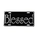 1 X Deluxe Autotag Blessed Silver
