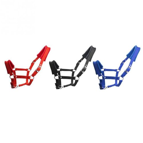 Licol pour chevaux Cob noir taille M protection équestre avec rêne collier de tête