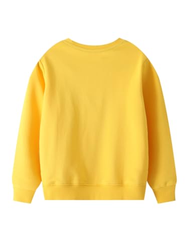 Boys Sweatshirts Casual Sweatshirts Cotton Sweatshirts Long Sleeve T-shirts Crew Neck Cartoon Tops for Boys-4492