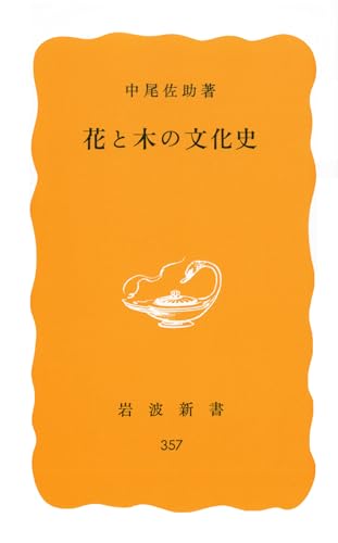 31PAlQ-lKgL.jpg