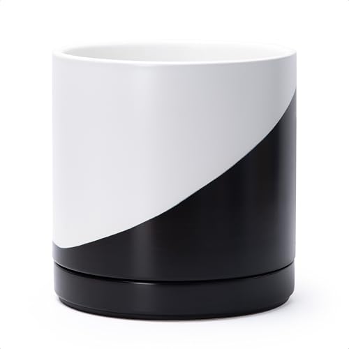 D'vine Dev 10 Inch Ceramic Planter Pot with Drainage Hole